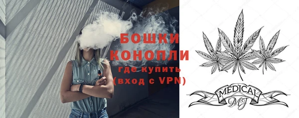 прущие грибы Балахна