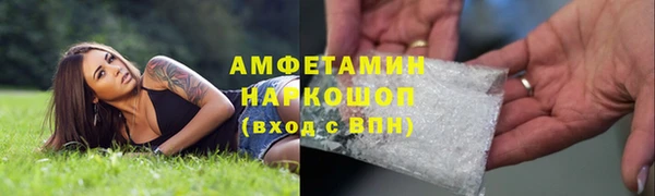 прущие грибы Дмитров