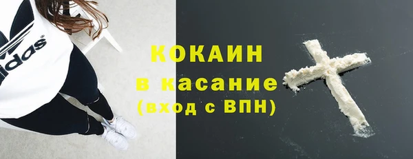прущие грибы Балахна