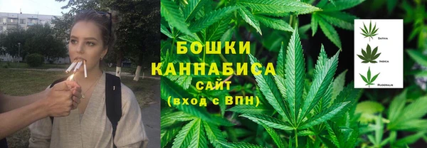 прущие грибы Балахна