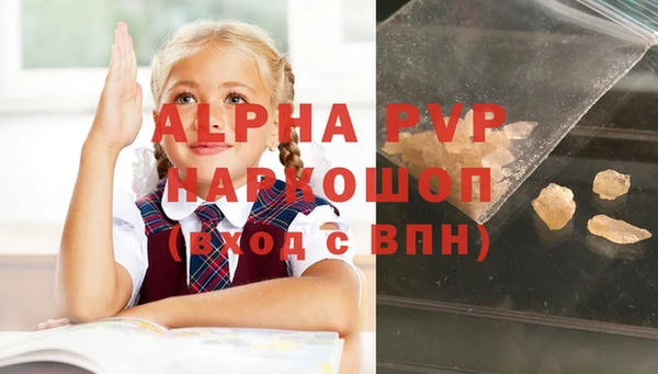 прущие грибы Балахна