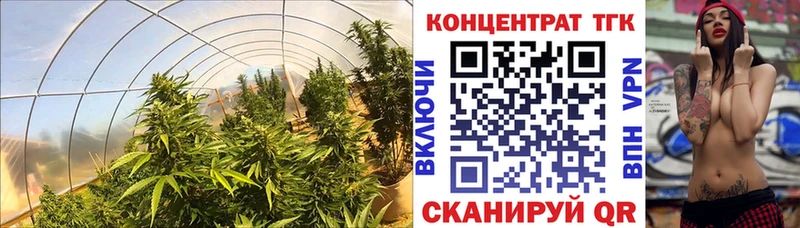 Дистиллят ТГК вейп Бикин