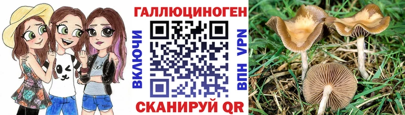 Псилоцибиновые грибы мицелий  Бикин 